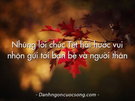 Những lời chúc Tết hài hước vui nhộn gửi tới bạn bè và người thân