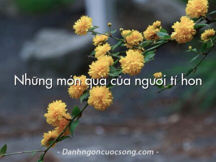 Những món quà của người tí hon