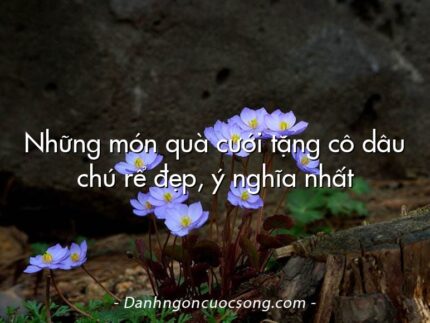 Những món quà cưới tặng cô dâu chú rể đẹp, ý nghĩa nhất