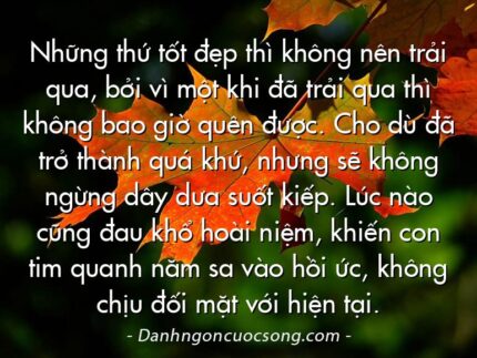 Những thứ tốt đẹp thì không nên trải qua, bởi vì một khi đã trải qua thì không bao giờ quên được. Cho dù đã trở thành quá khứ, nhưng sẽ không ngừng dây dưa suốt kiếp. Lúc nào cũng đau khổ hoài niệm, khiến con tim quanh năm sa vào hồi ức, không chịu đối mặt với hiện tại.