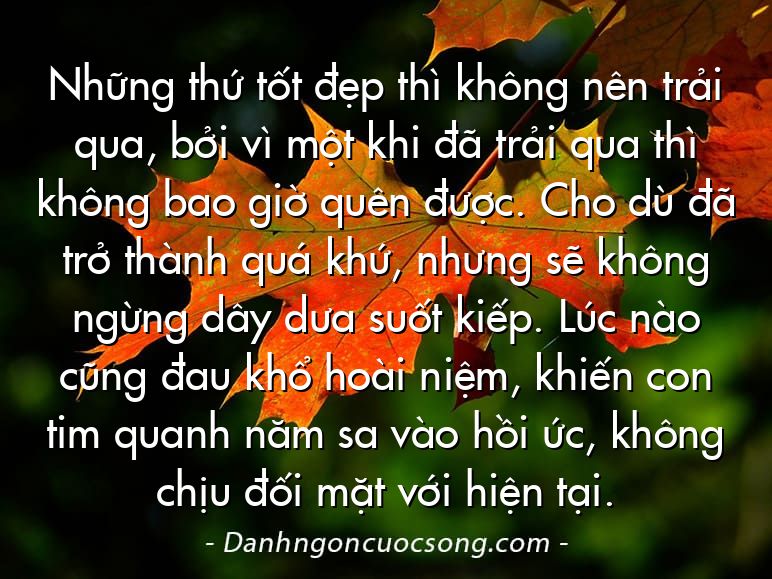 Những thứ tốt đẹp thì không nên trải qua, bởi vì một khi đã trải qua thì không bao giờ quên được. Cho dù đã trở thành quá khứ, nhưng sẽ không ngừng dây dưa suốt kiếp. Lúc nào cũng đau khổ hoài niệm, khiến con tim quanh năm sa vào hồi ức, không chịu đối mặt với hiện tại.
