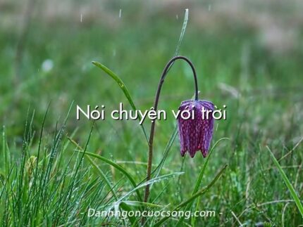 Nói chuyện với trời