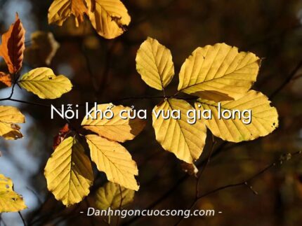 Nỗi khổ của vua gia long