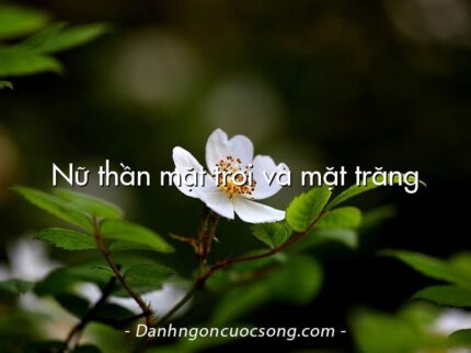 Nữ thần mặt trời và mặt trăng