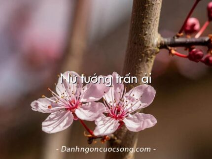 Nữ tướng trấn ải