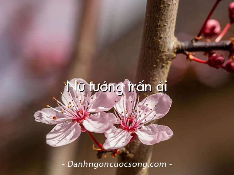 Nữ tướng trấn ải