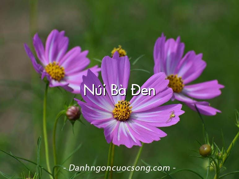 Núi Bà Đen