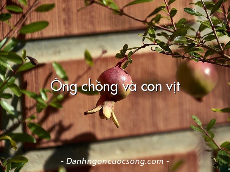 Ông chồng và con vịt
