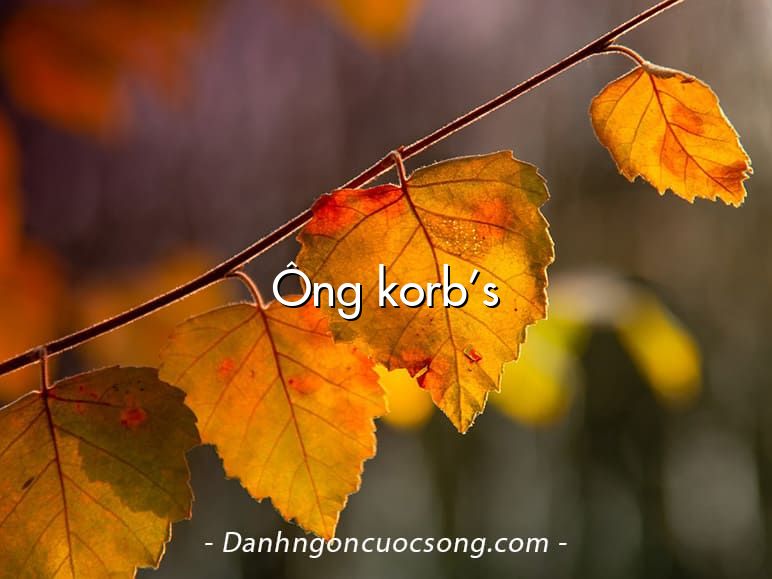 Ông korb’s