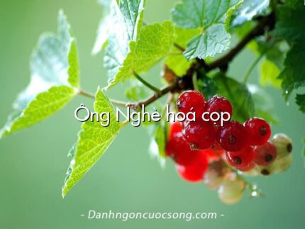 Ông Nghè hoá cọp