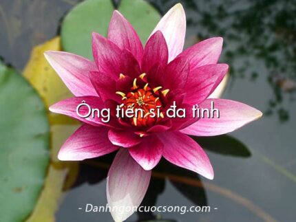 Ông tiến sĩ đa tình