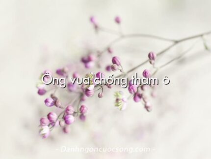 Ông vua chống tham ô