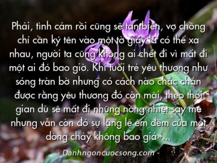 Phải, tình cảm rồi cũng sẽ tan biến, vợ chồng chỉ cần ký tên vào một tờ giấy là có thể xa nhau, người ta cũng không ai chết đi vì mất đi một ai đó bao giờ. Khi tuổi trẻ yêu thương như sóng tràn bờ nhưng có cách nào chắc chắn được rằng yêu thương đó còn mãi, theo thời gian dù sẽ mất đi những nồng nhiệt say mê nhưng vẫn còn đó sự lặng lẽ êm đềm của một dòng chảy không bao giờ cạn…?