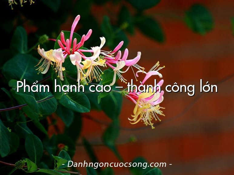 Phẩm hạnh cao – thành công lớn