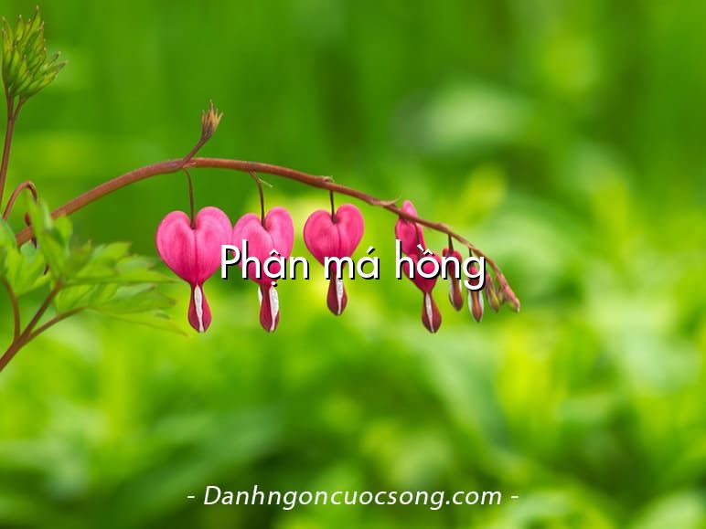 Phận má hồng