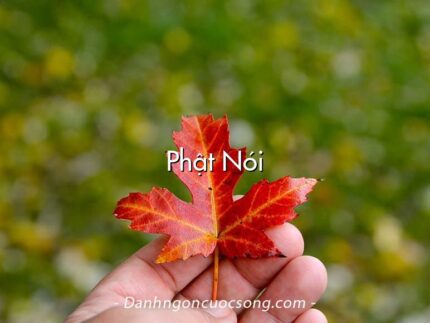 Phật Nói