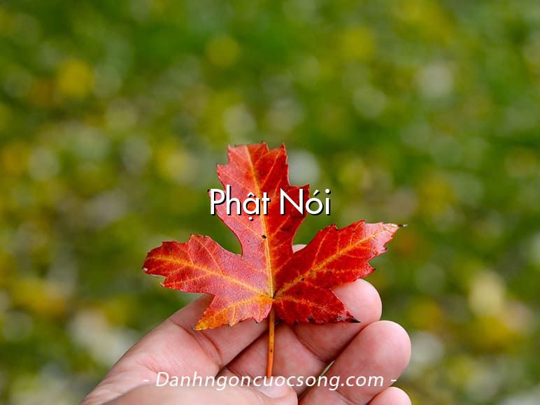 Phật Nói