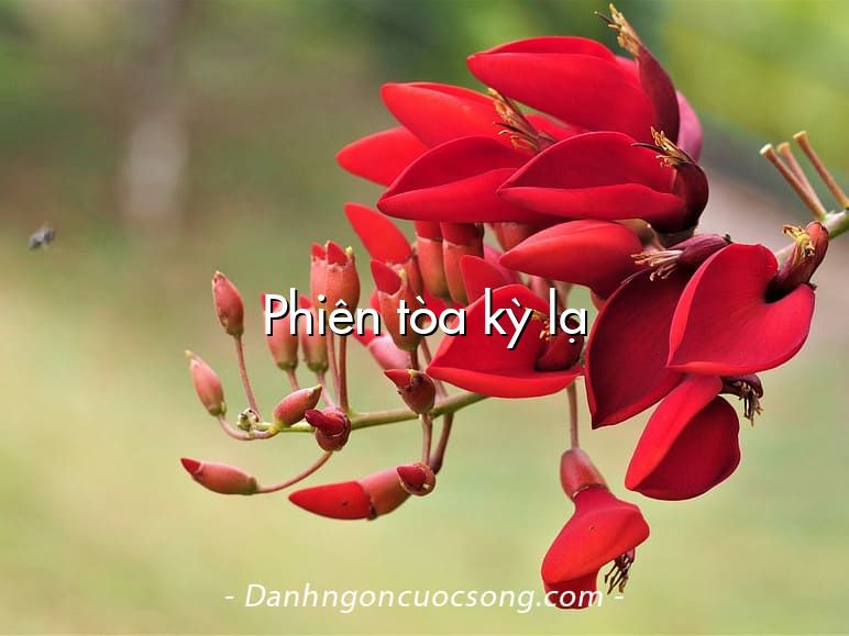 Phiên tòa kỳ lạ