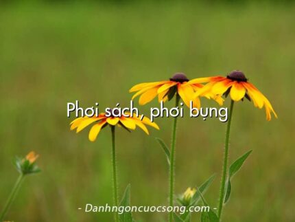Phơi sách, phơi bụng