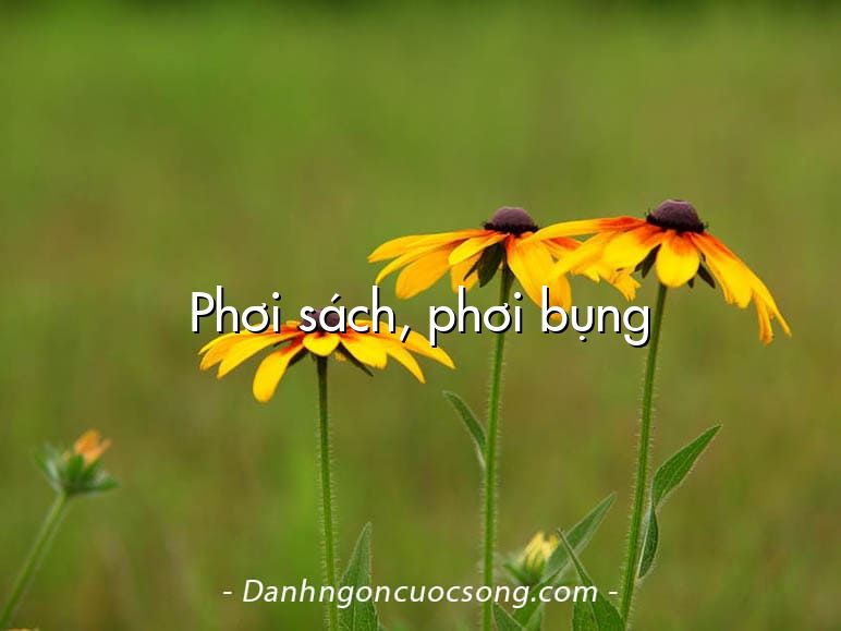Phơi sách, phơi bụng