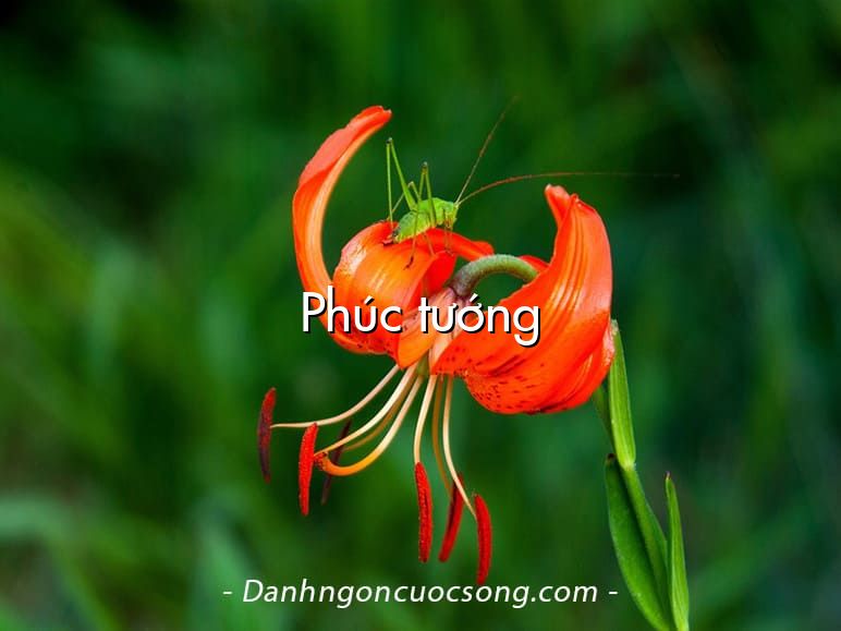Phúc tướng