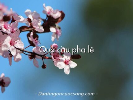Quả cầu pha lê