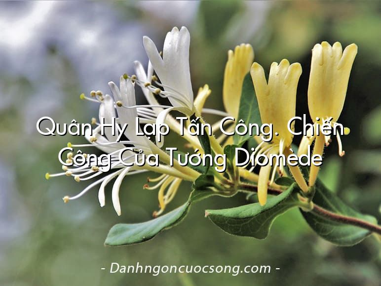 Quân Hy Lạp Tấn Công. Chiến Công Của Tướng Diomède