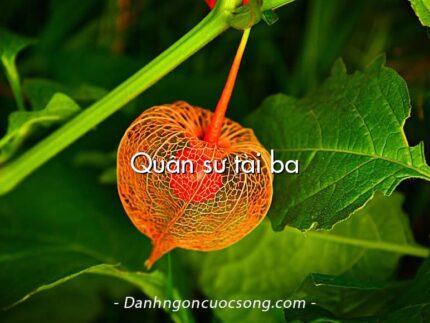 Quân sư tài ba