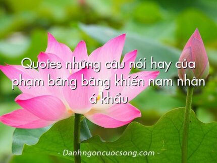 Quotes những câu nói hay của phạm băng băng khiến nam nhân á khẩu
