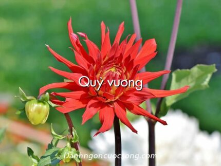 Quỷ vương
