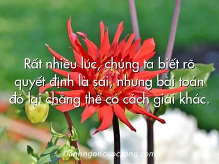 Rất nhiều lúc, chúng ta biết rõ quyết định là sai, nhưng bài toán đó lại chẳng thể có cách giải khác.