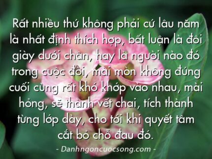 Rất nhiều thứ không phải cứ lâu năm là nhất định thích hợp, bất luận là đôi giày dưới chân, hay là người nào đó trong cuộc đời, mài mòn không đúng cuối cùng rất khó khớp vào nhau, mài hỏng, sẽ thành vết chai, tích thành từng lớp dày, cho tới khi quyết tâm cắt bỏ chỗ đau đó.