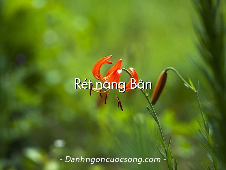 Rét nàng Bân