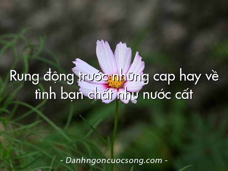 Rung động trước những cap hay về tình bạn chất như nước cất
