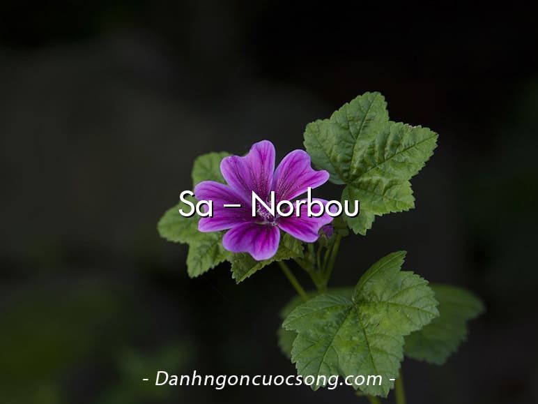 Sa – Norbou