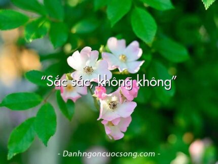 “Sắc sắc, không không”