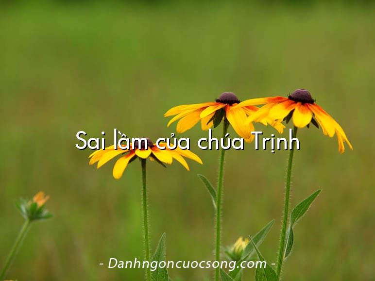 Sai lầm của chúa Trịnh