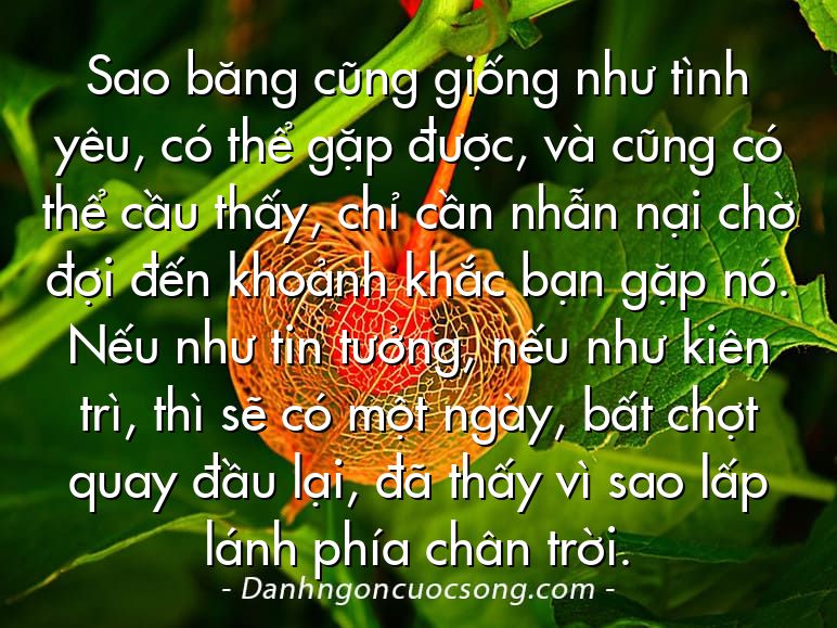 Sao băng cũng giống như tình yêu, có thể gặp được, và cũng có thể cầu thấy, chỉ cần nhẫn nại chờ đợi đến khoảnh khắc bạn gặp nó. Nếu như tin tưởng, nếu như kiên trì, thì sẽ có một ngày, bất chợt quay đầu lại, đã thấy vì sao lấp lánh phía chân trời.