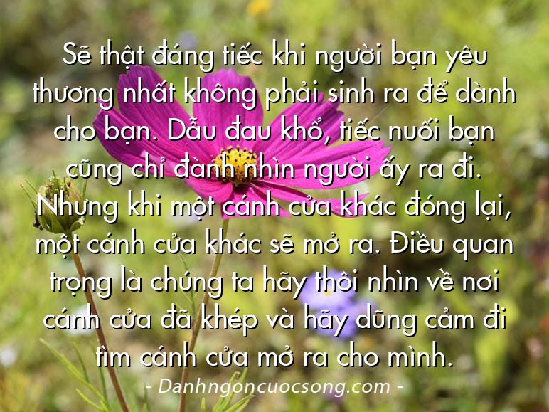 Sẽ thật đáng tiếc khi người bạn yêu thương nhất không phải sinh ra để dành cho bạn. Dẫu đau khổ, tiếc nuối bạn cũng chỉ đành nhìn người ấy ra đi. Nhưng khi một cánh cửa khác đóng lại, một cánh cửa khác sẽ mở ra. Điều quan trọng là chúng ta hãy thôi nhìn về nơi cánh cửa đã khép và hãy dũng cảm đi tìm cánh cửa mở ra cho mình.