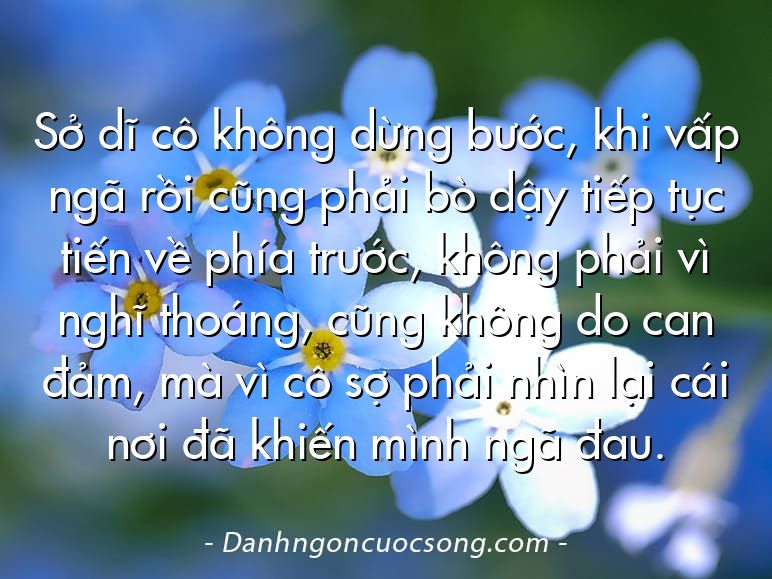 Sở dĩ cô không dừng bước, khi vấp ngã rồi cũng phải bò dậy tiếp tục tiến về phía trước, không phải vì nghĩ thoáng, cũng không do can đảm, mà vì cô sợ phải nhìn lại cái nơi đã khiến mình ngã đau.