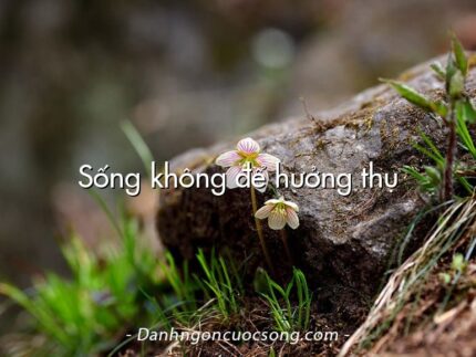 Sống không để hưởng thụ