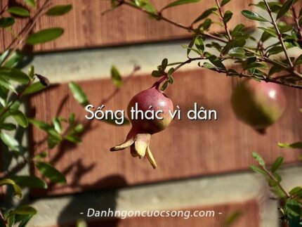 Sống thác vì dân