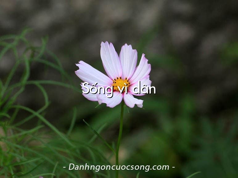 Sống vì dân