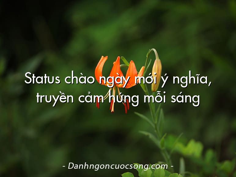 Status chào ngày mới ý nghĩa, truyền cảm hứng mỗi sáng