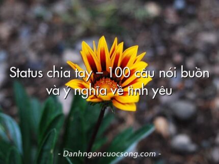 Status chia tay – 100 câu nói buồn và ý nghĩa về tình yêu