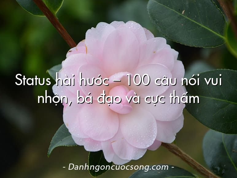 Status hài hước – 100 câu nói vui nhộn, bá đạo và cực thấm