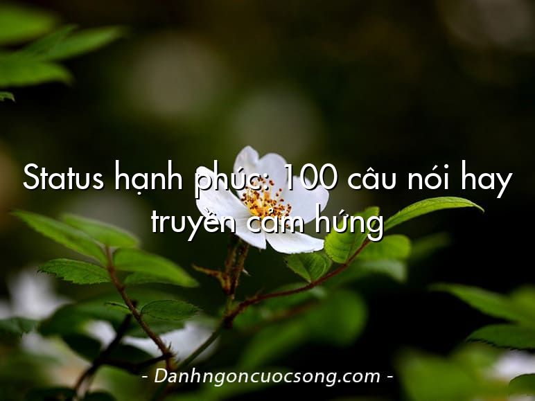 Status hạnh phúc: 100 câu nói hay truyền cảm hứng