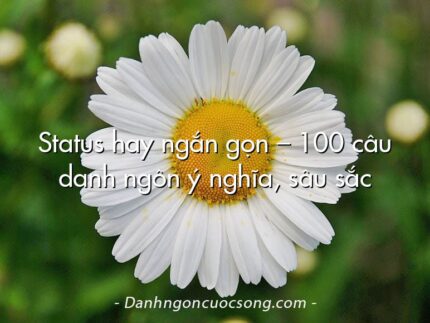 Status hay ngắn gọn – 100 câu danh ngôn ý nghĩa, sâu sắc