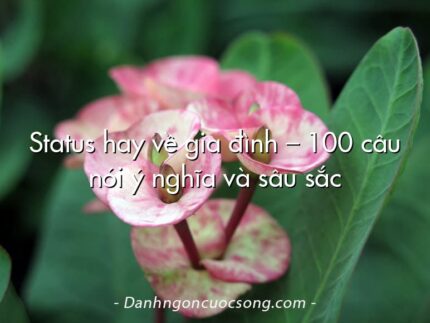 Status hay về gia đình – 100 câu nói ý nghĩa và sâu sắc