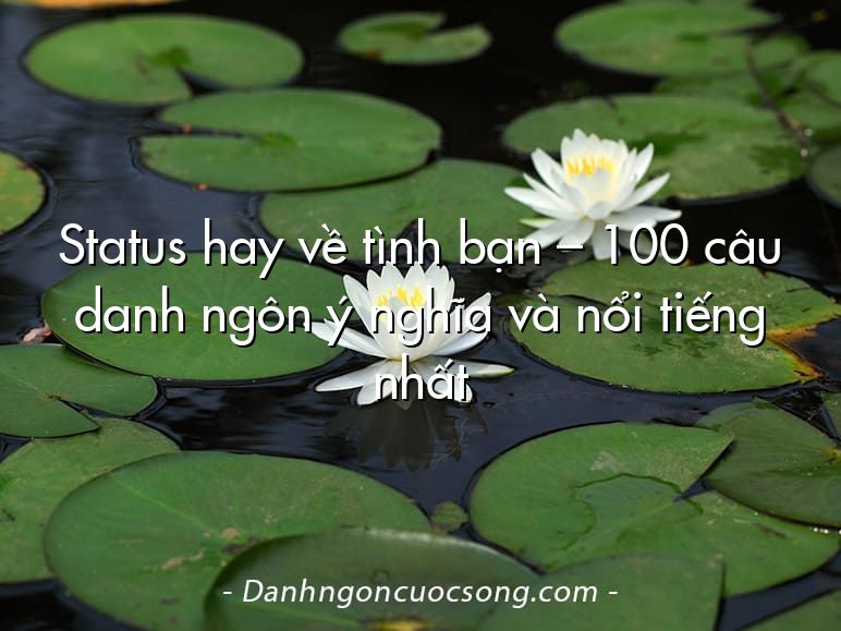 Status hay về tình bạn – 100 câu danh ngôn ý nghĩa và nổi tiếng nhất